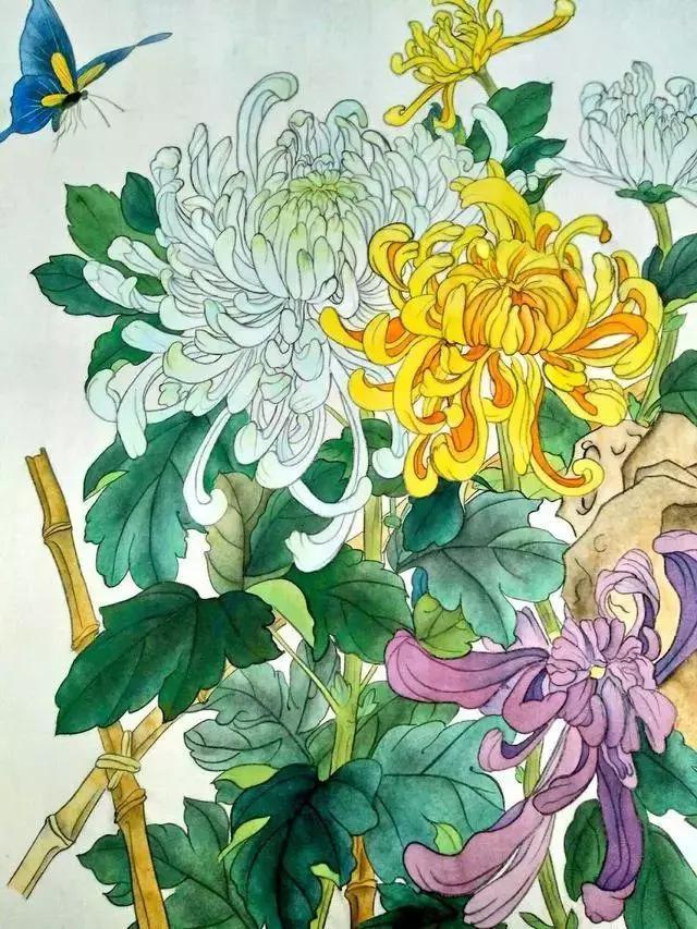 国画菊花教程工笔,工笔国画教程菊花蓝蝶