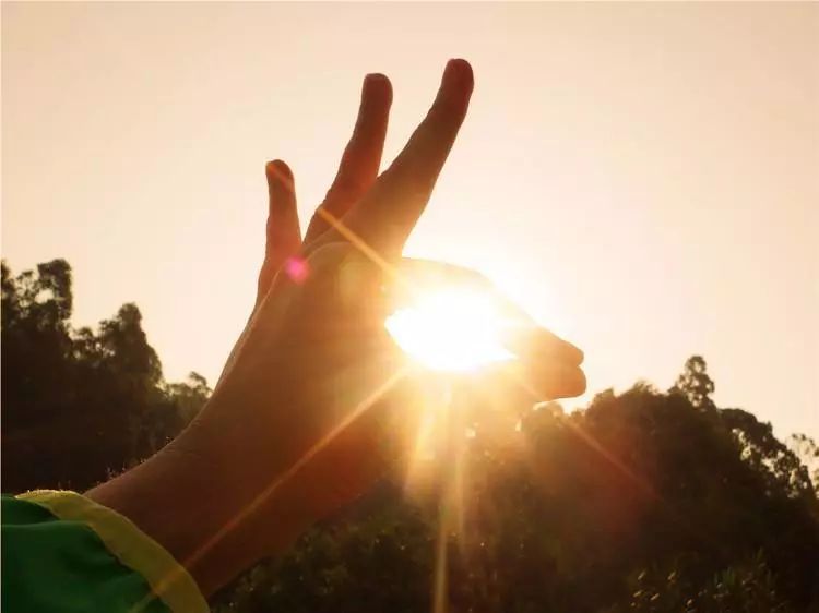 作文片段小学,作文片段模板