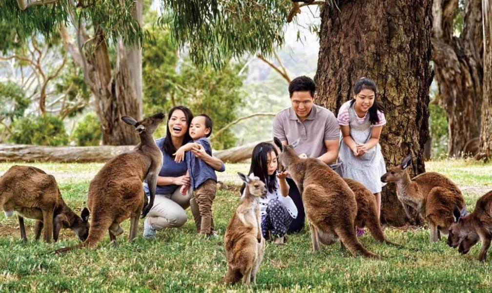 总是说别人家的孩子好,提升与孩子的亲子关系