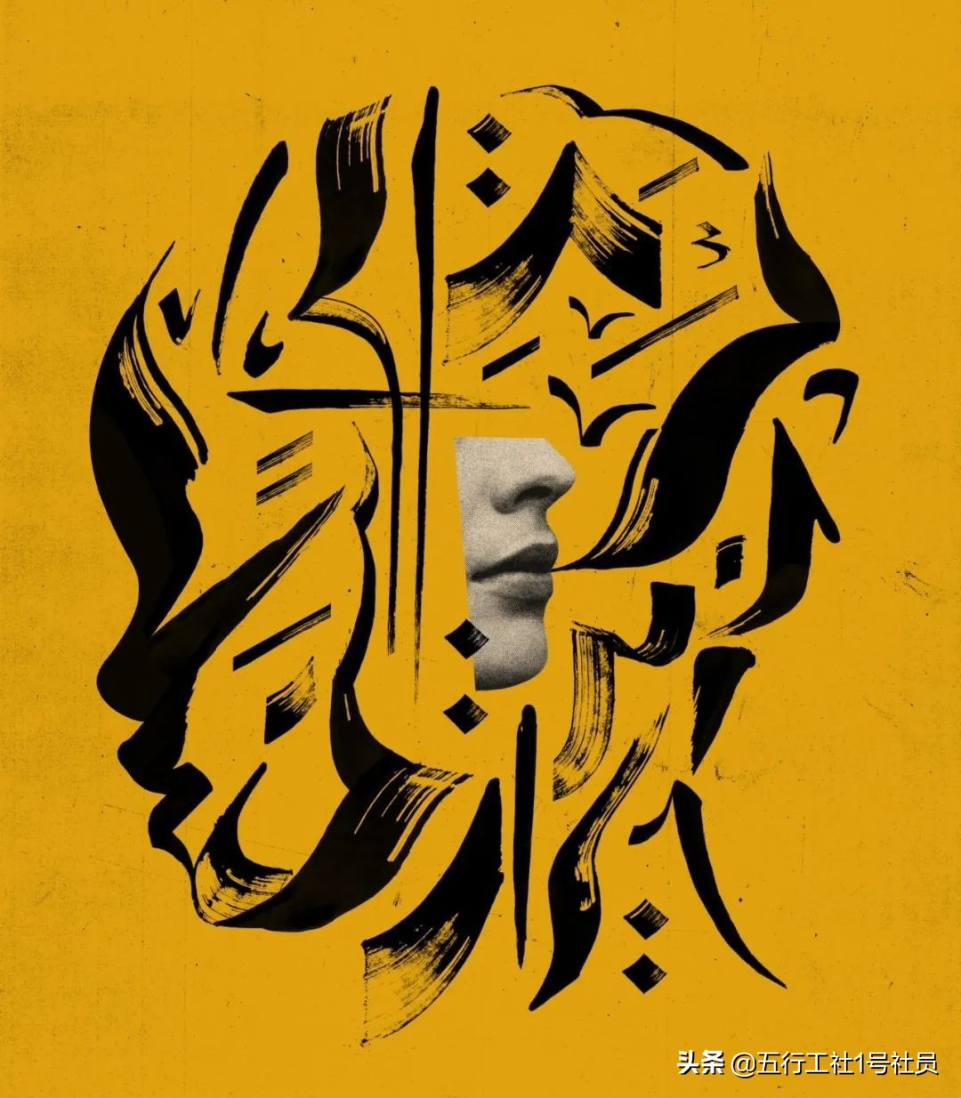 纽约时报年度最佳童书绘本推荐,纽约时报年度最佳图书