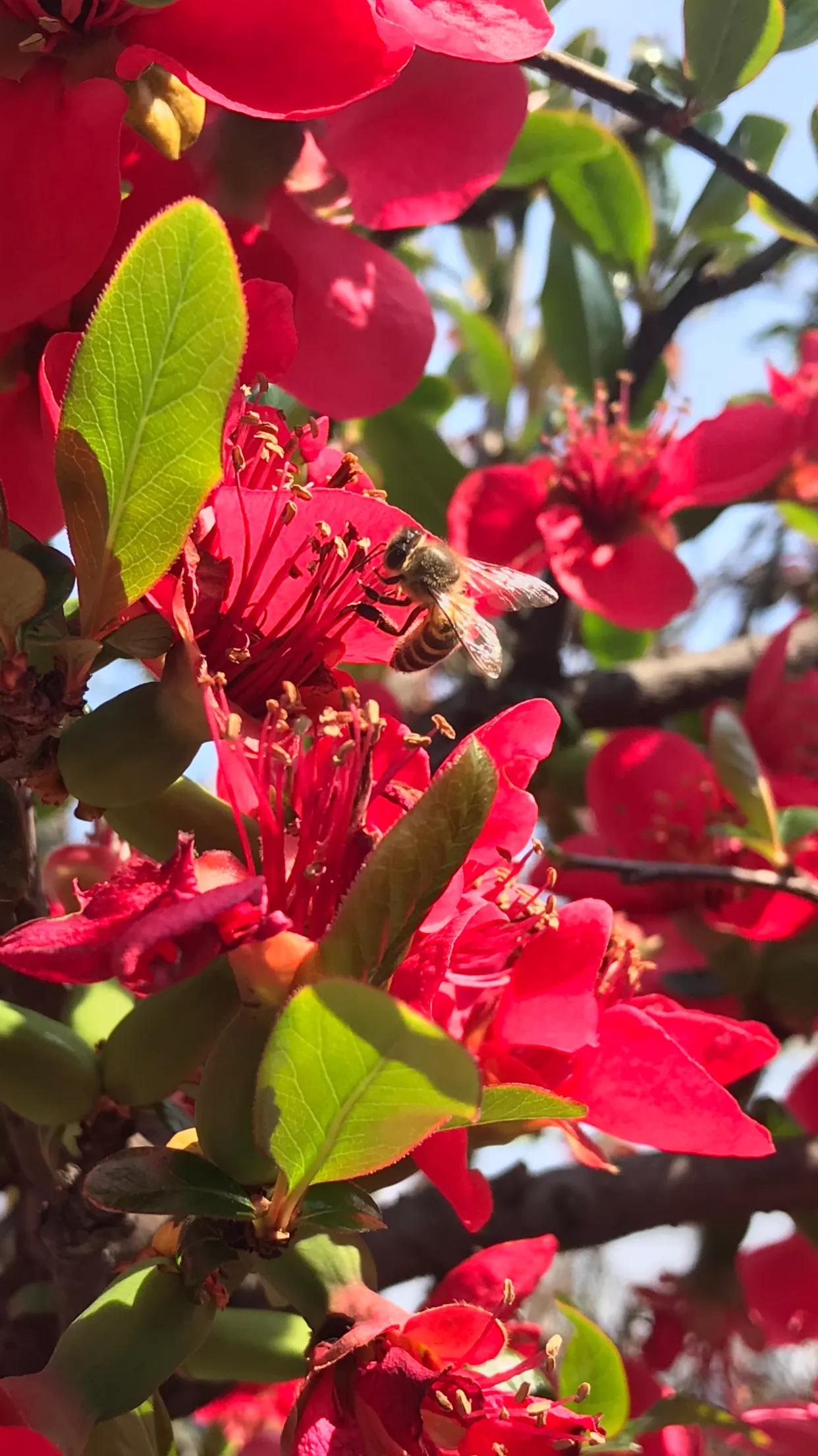 足彩21056期分析预测,足彩21042期分析