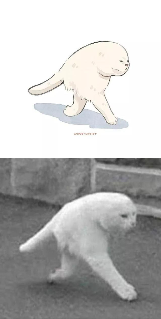 可爱小猫咪的漫画,猫呆萌漫画图