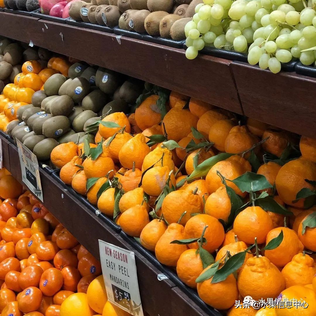 最近卖的比较火的水果店,最近新出来的水果店