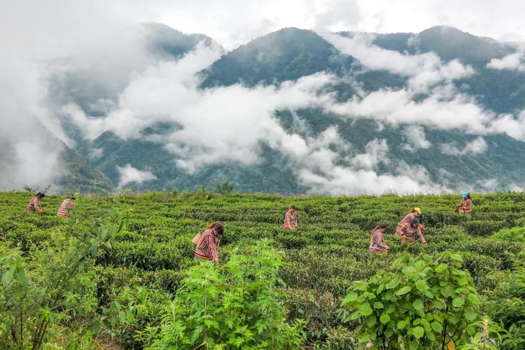 川藏最美旅行地,美西旅游好去处