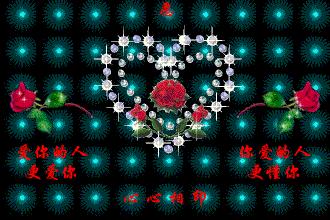 520最美的花送给最美的你,520送你最美的玫瑰花