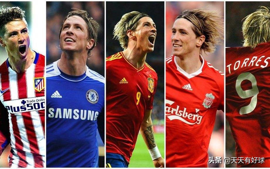 费尔南多托雷斯现状,费尔南多托雷斯生涯历程