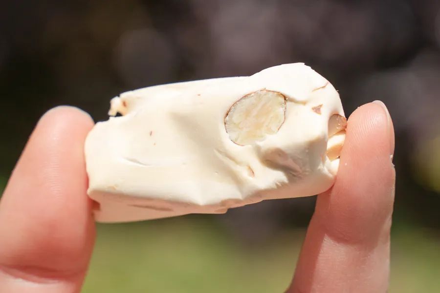 被薇娅直播间榨干零食预算后，写出了这篇测评报告（上）