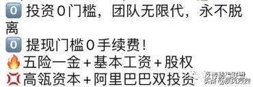 芬香传销调查,芬香是传销吗