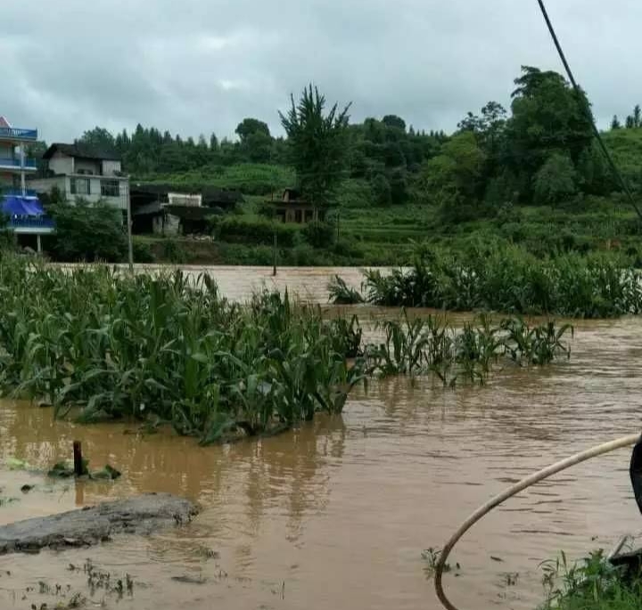 今日大暑有什么说法,今日大暑要注意什么事