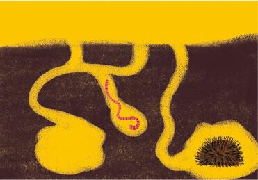 鐢荤敾鍎跨鍒涙剰鐢诲皬鍔ㄧ墿鍏斿瓙,鐢荤敾鏁欑▼7-12宀佸皬鍔ㄧ墿