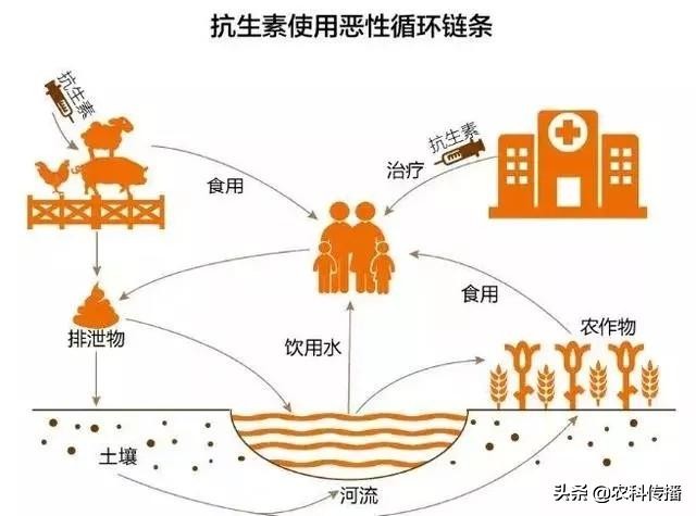 一种新型畜禽粪便制有机肥的方法,畜禽粪便主要原料的有机肥外观