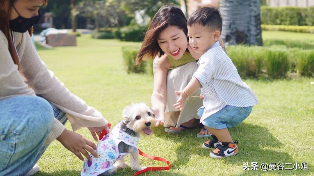 冲浪、露营、住房车，我在这里规划好了泰国的养老生活