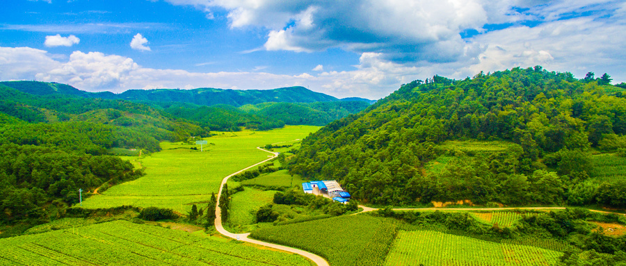 宣讲家讲坚定理想信念,宣讲家延安精神讲稿