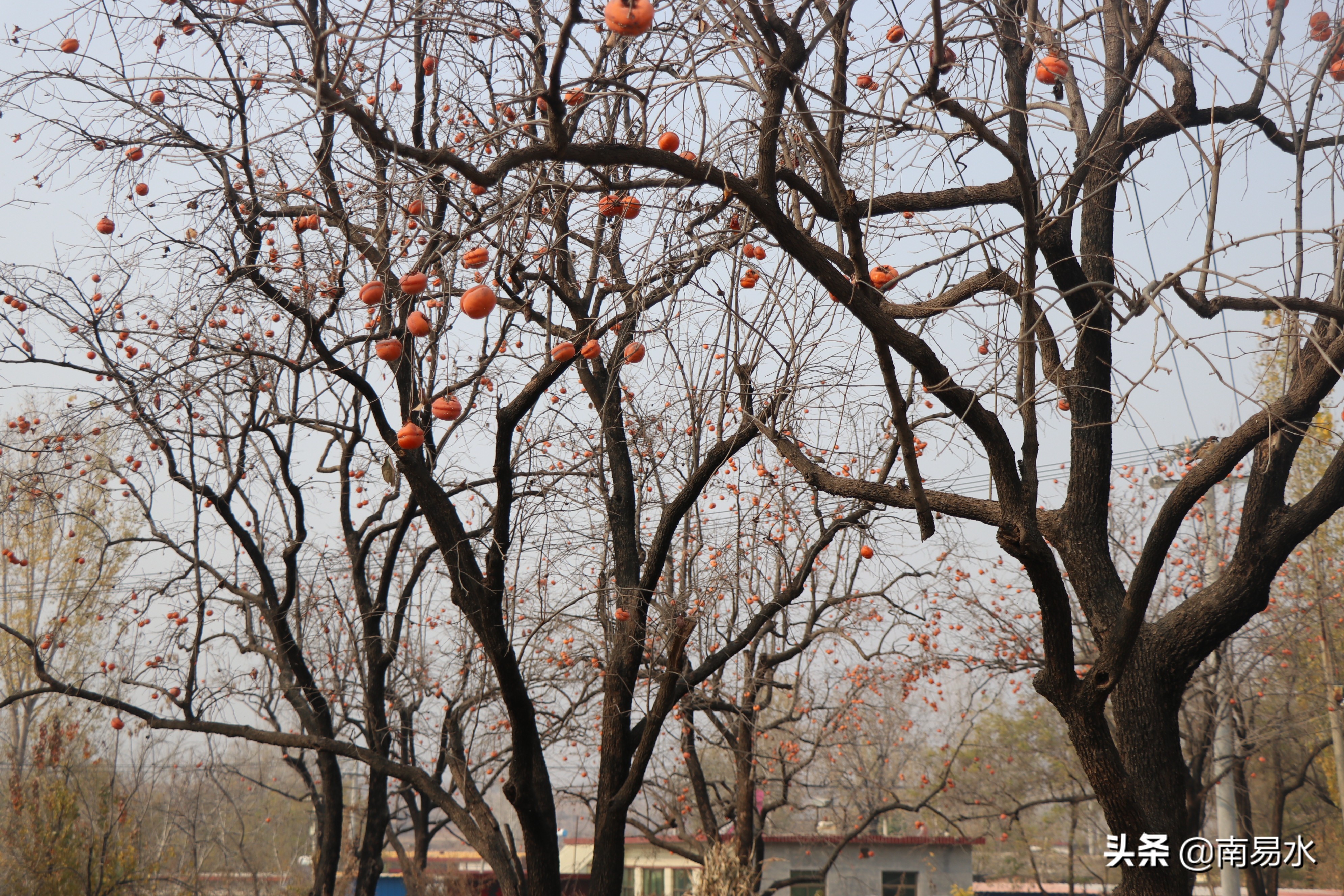 家乡风景带你一起感受自然的味道,令你难以忘怀的家乡的味道