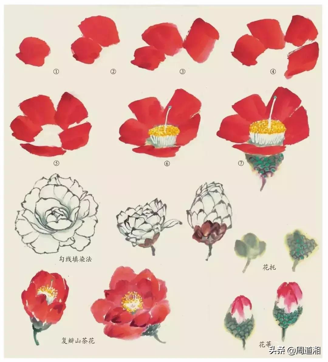 国画花卉大全教程视频,花卉小品国画图片大全