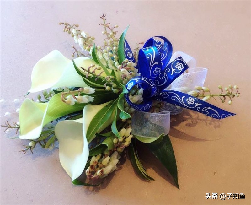 带你了解天蝎座的五个特质,天蝎座的十大缺点和十大优点