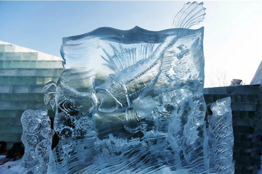 哈尔滨冰灯游玩攻略,哈尔滨冰灯梦幻之行