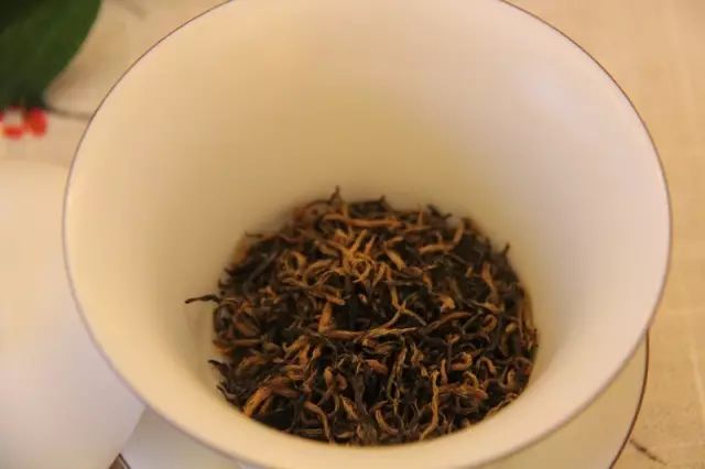 清凉茶事|天赐萌芽纤指瘦，武夷山下骏眉香