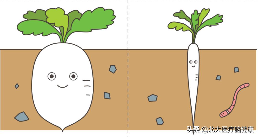 2岁还不会区分大小？16张图片，教会孩子说反义词