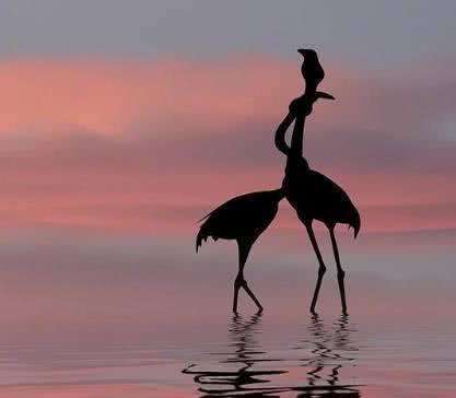 爱情心理学书籍,爱情心理学在线阅读