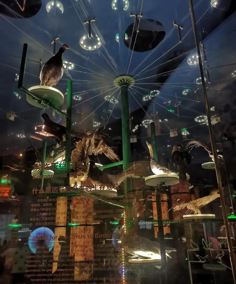 上海科技馆官网,上海科技馆球幕影院