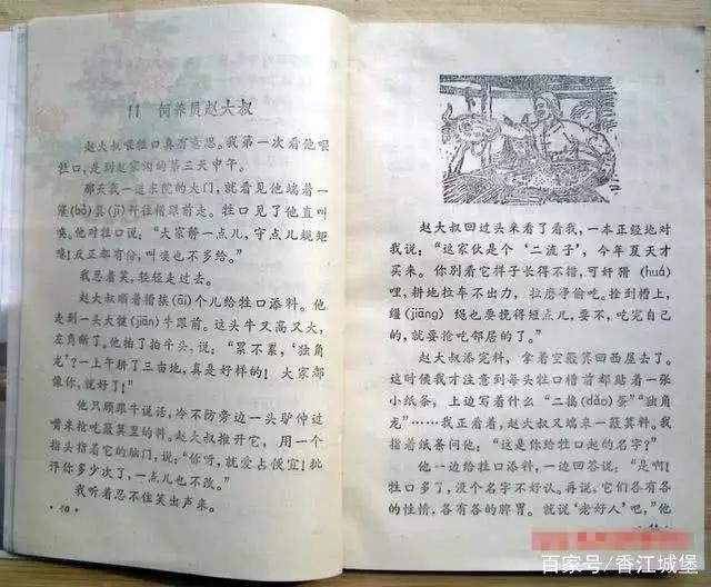 小学课文饲养员赵大叔原文,饲养员赵大叔课文原文作者