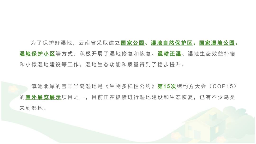 ppt文字太多怎么排版教学,ppt文字太多怎么排版