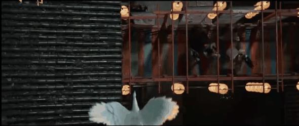 陈坤李现电影大全,李现和陈坤电影