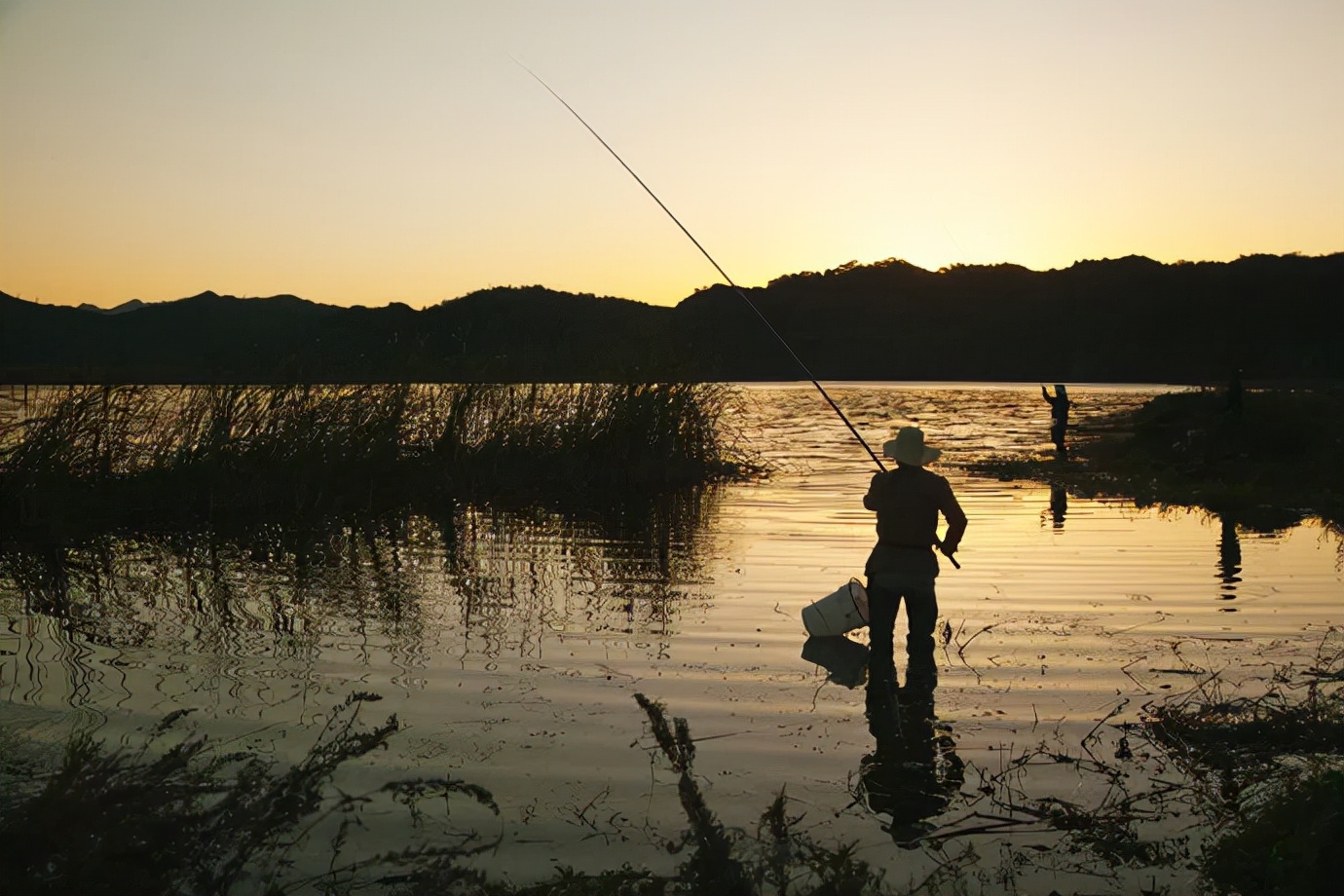 新手鱼竿怎么选择调性好的,鱼竿选择哪个调性最好最实用