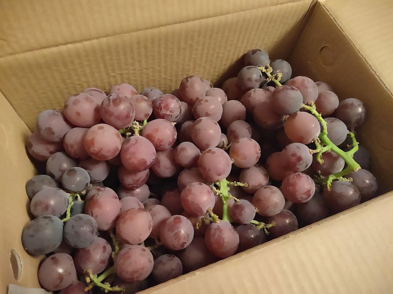 脸上有皱纹吃什么东西可以缓解,脸上的皱纹什么食物可以缓解