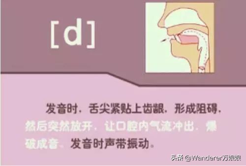 英语48个音标发音附详细图解,音标发音48个正确发音讲解视频