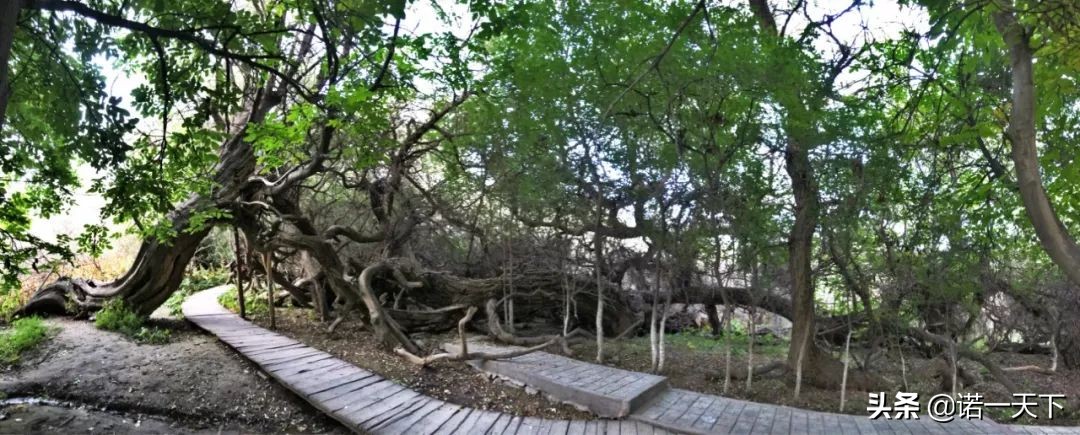 旅行新疆的美,旅行带你感受不一样的文化风情