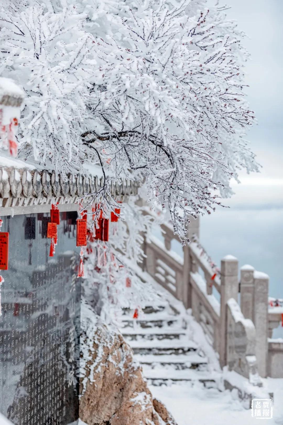 冬天适合旅游的国内看雪景点,冬天看雪最值得去的地方