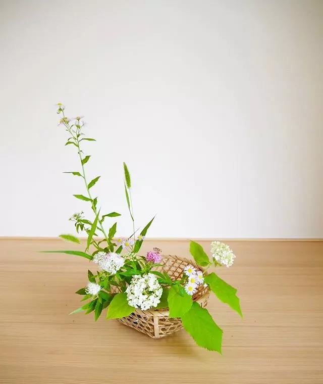 一花一世界一叶一菩提本来无一物,一花一世界一叶一菩提一场梦