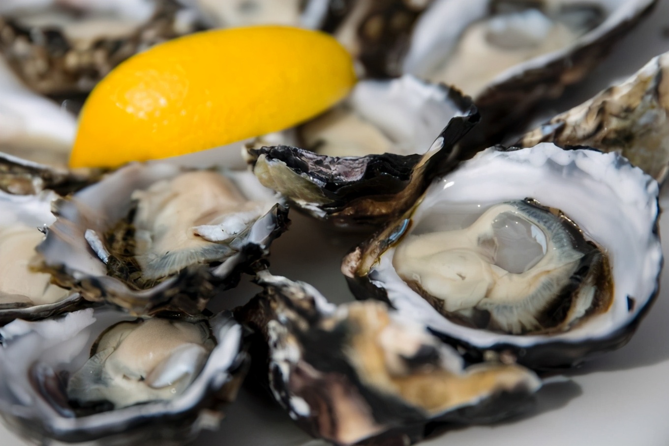 世界的尽头澳大利亚塔斯马尼亚,世界的尽头塔斯马尼亚岛