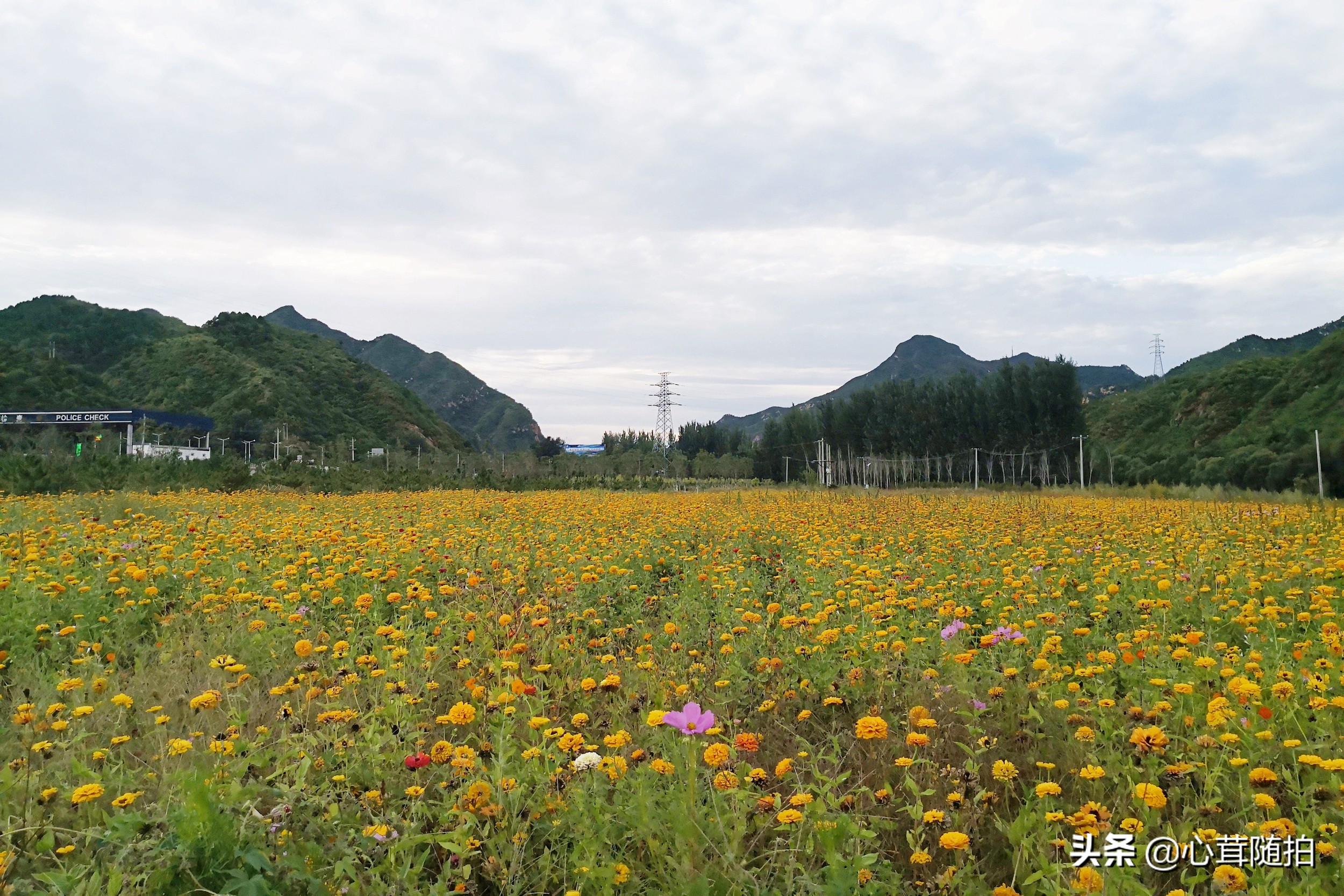 自驾白河湾,白河湾自然风景区自驾