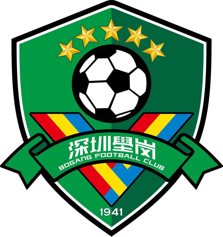 中国足球队历届队徽,中国足球队历年队徽变化