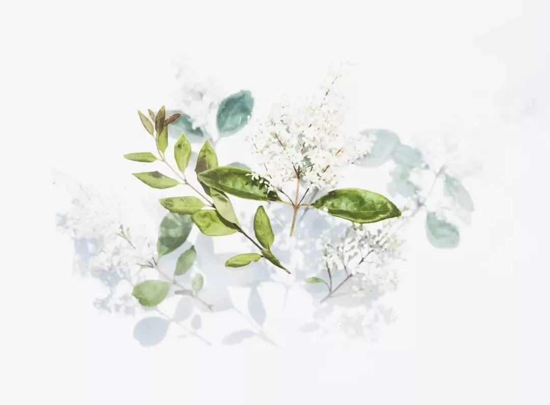 害怕hpv感染用什么预防,持续hpv阳性得宫颈癌的几率大吗