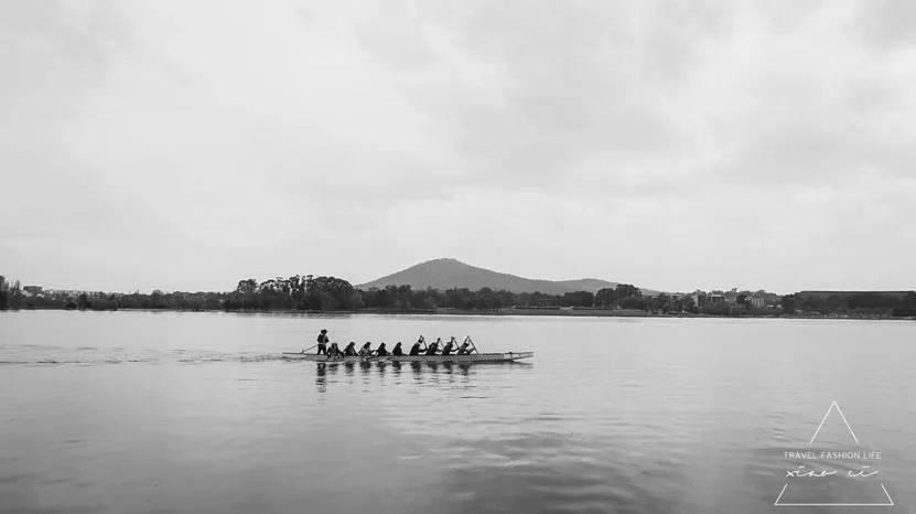 澳洲｜春意堪培拉，看袋鼠、品酒、赏花、住进动物的家