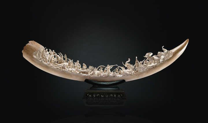 不让长象牙就胎死腹中！非洲公象这种致命基因，人类竟然也有