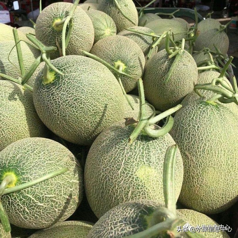 海南水果都有哪些品种图片及名称,海南水果上市时间表赶快收藏吧