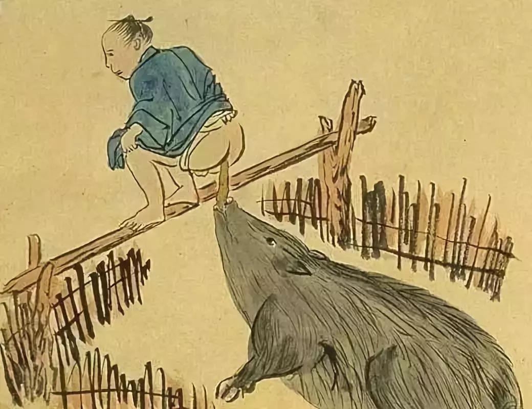 有的人可能拉完一生6吨屎，还不知道厕所是怎么来的