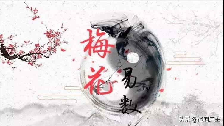 梅花易数命中注定的缘分,梅花易数的前身