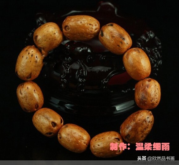 印度菩提子的种类,海南菩提子的种类