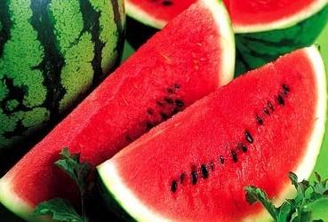 麒麟西瓜8424露天种植方法和管理,8424西瓜露天种植几月份育苗合适