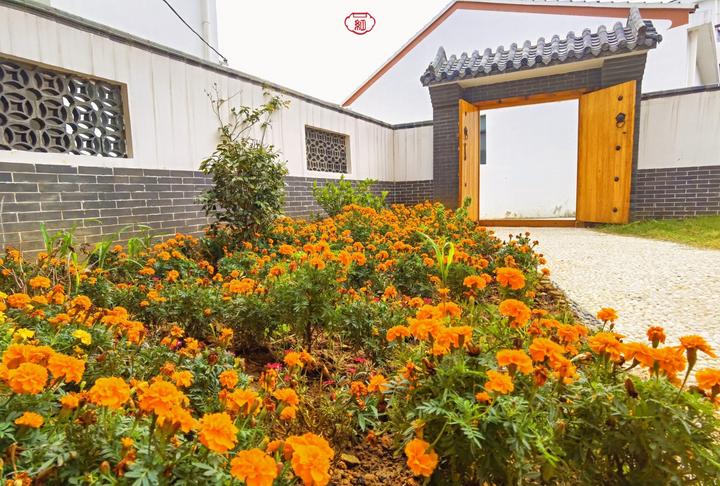 武汉温馨的旅游景点,武汉宝藏旅游胜地免费景点