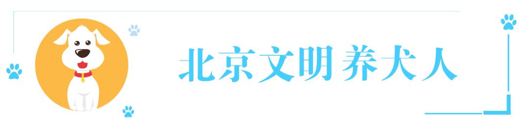 狗狗科普知识大全全部,如何了解各种不同的狗狗品种