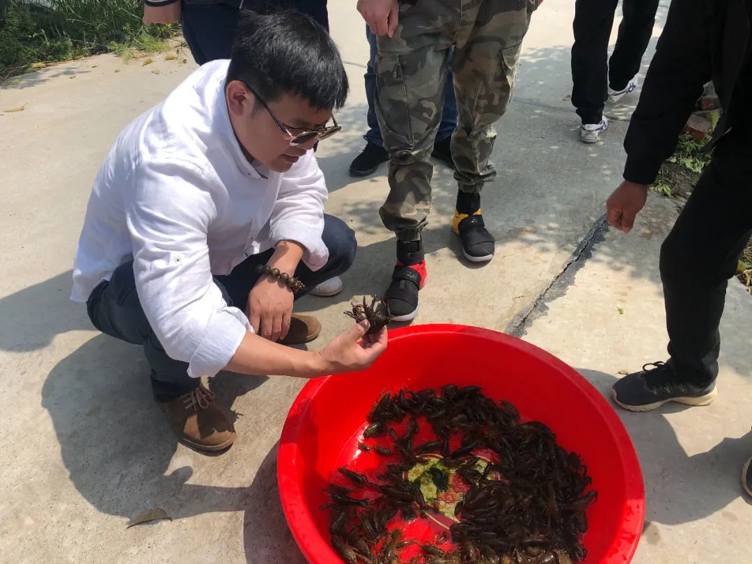 醉倒在“大虾之城”