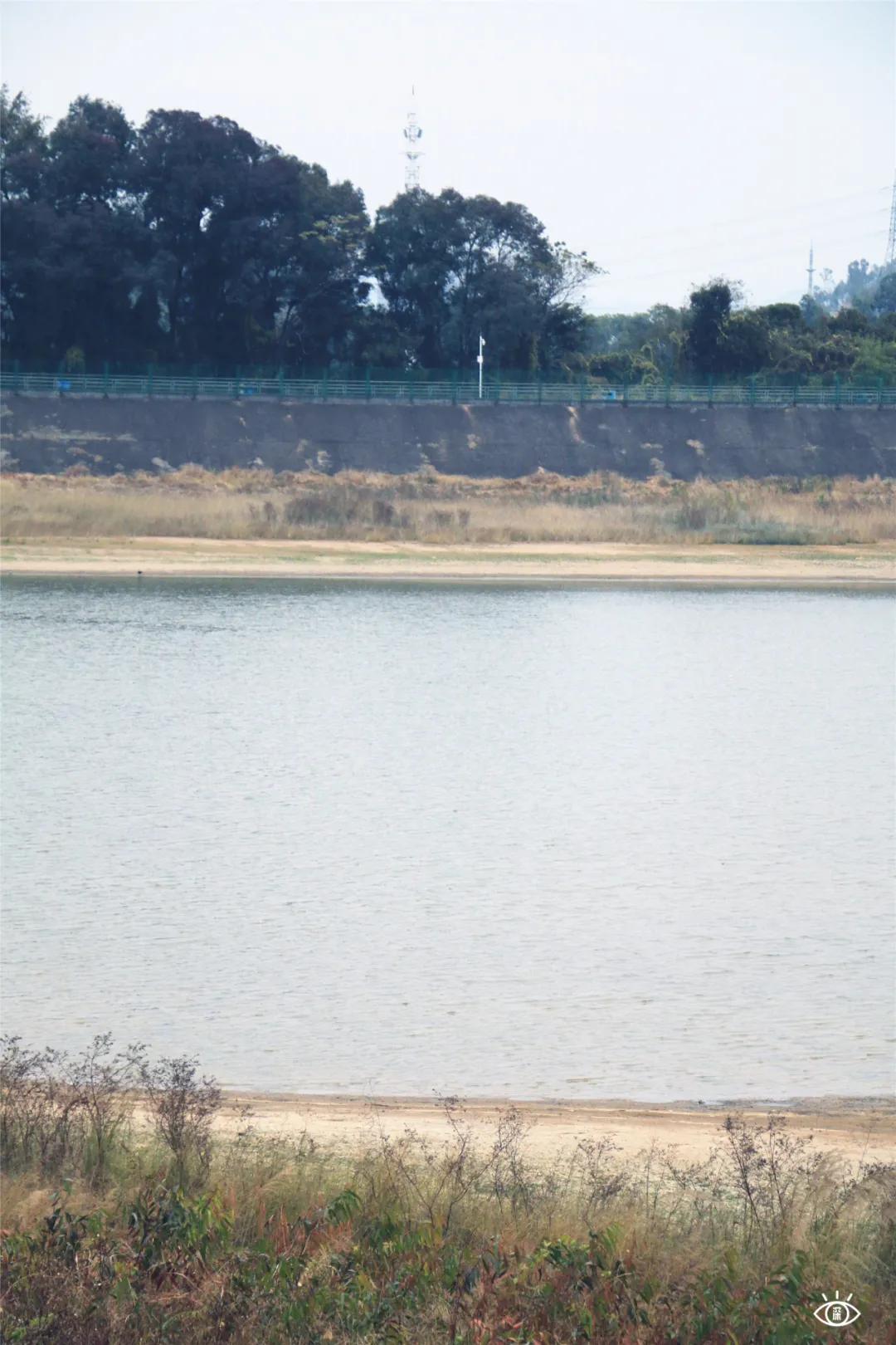 深圳哪个地方有玻璃桥,深圳玻璃桥免费开放吗