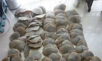 它们不是商品，岂容你随意买卖！